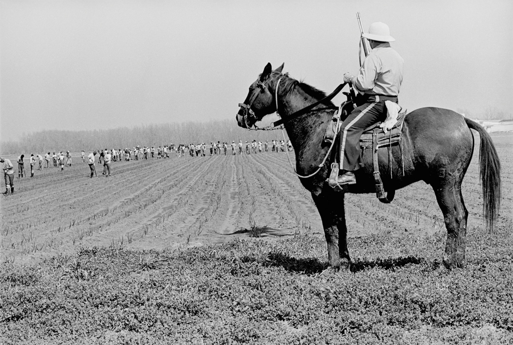 Keith Calhoun, ¿quién es ese hombre en ese caballo? No sé su nombre pero lo llaman Boss, 1980. Cortesía del artista.