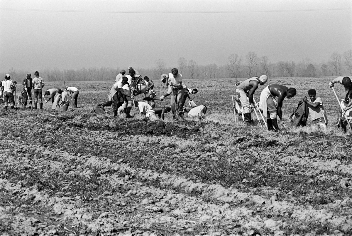 Keith Calhoun, Ditch digging, 1980. Cortesía del artista.