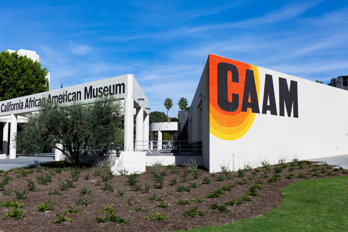 The California African American Museum (CAAM) in Exposition Park, Los Angeles. 21 November 2017. Photo by HRDWRKER. Courtesy of the California African American Museum.