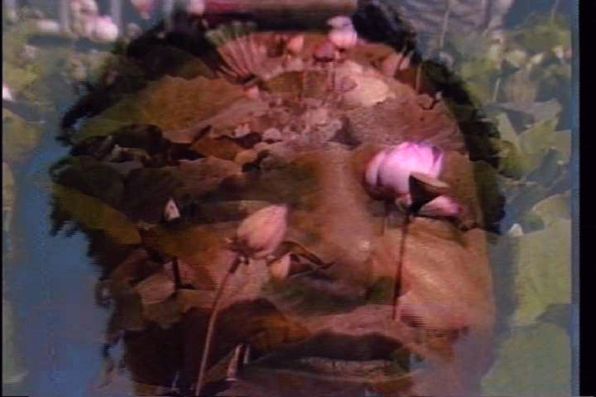 lysses Jenkins，自占卜（1989）。仍然来自带声音的彩色视频，12:01。格里奥特三部曲的第一部分。由艺术家提供。
